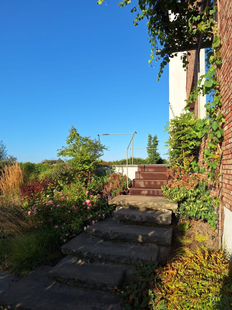 image of 